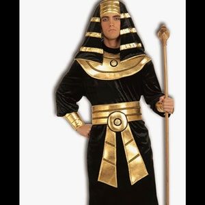 Pharaoh costume - comes with robe, head piece and belt